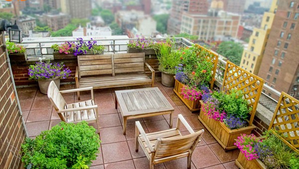 y-tuong-thiet-ke-san-thuong