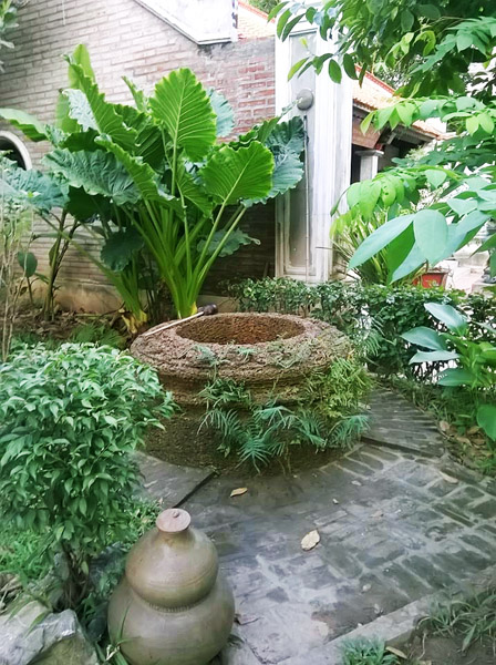 tieu-canh-gieng-nuoc