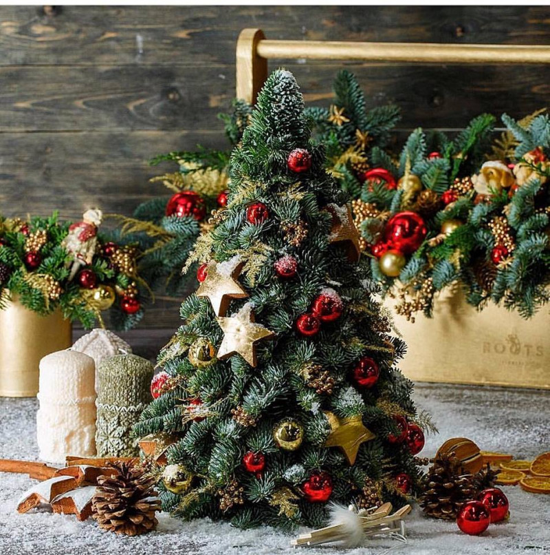 cay-thong-noel-doc-dao