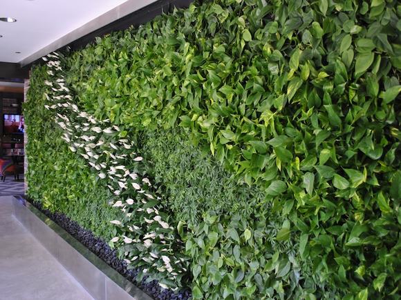 Với một bức tường cây như thế này thì không chỉ lọc không khí trong gia đình bạn mà còn tạo nên thẩm mỹ cho ngôi nhà nữa tính.