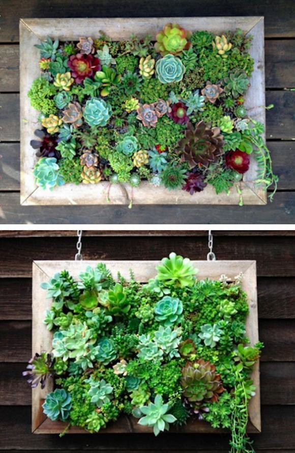 Những ý tưởng sáng tạo về khu vườn thẳng đúng