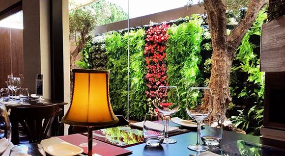 Tường cây trong phong khách