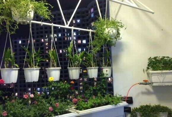 Vườn treo tại ban công