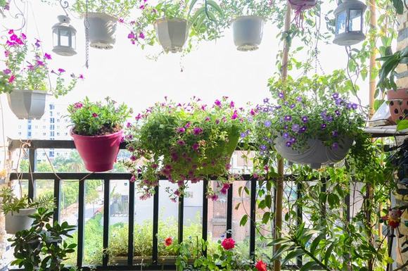 Vườn thẳng đứng kiến trúc cho mọi không gian