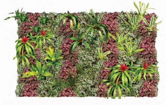 Vườn thẳng đứng kiểu song song