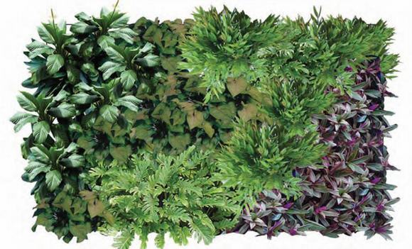 Vườn thẳng đứng kiểu tươi tốt