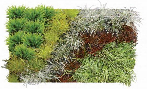 Vườn thẳng đứng kiểu căn bản