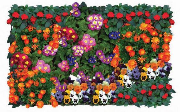 Vườn thẳng đứng kiểu đa sắc màu mẫu 1
