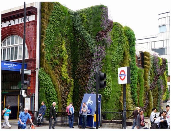 Vườn đứng tại Edgware Road