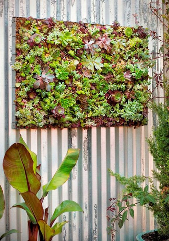 Tranh cây mang lại sự độc đáo và sống động