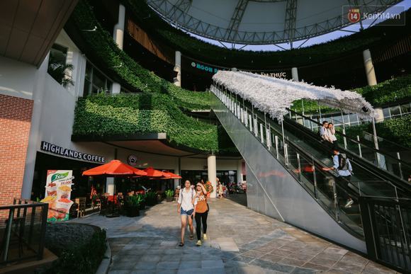 Bức tường cây xanh khiến mọi người đều phải ngắm nhìn