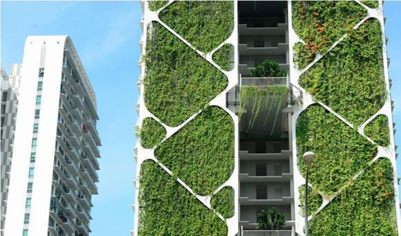 Bức tường xinh đẹp những cùng vô cùng hữu ích Bức tường xinh đẹp những cùng vô cùng hữu ích