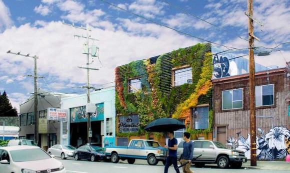 Bức tường cây đẹp mắt đã được hoàn thành, nổi bật giữa phố