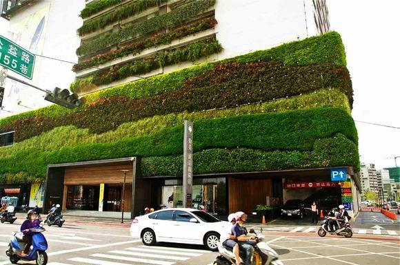 Bức tường cây làm êm dịu cả một khu phố