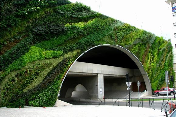 Vườn đứng dưới chân một chiếc cầu