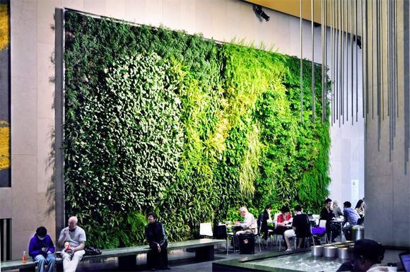 Vườn thẳng đứng lớn và ấn tượng trong một quán cafe