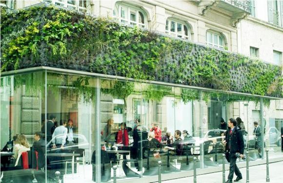 Một góc của quán cafe trở nên sang trọng hơn với bức tường cây