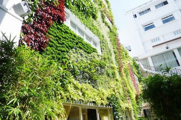 Vườn đứng ngòai nhà Vườn đứng ngòai nhà