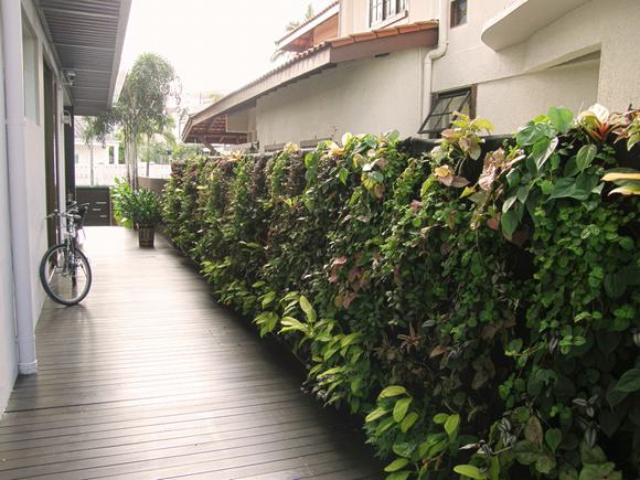 Vườn tường đứng ở hành lang gia đình