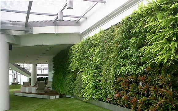 Vườn tường đứng này chắc chắn sẽ đem lại bầu không khí vô cùng trong lành