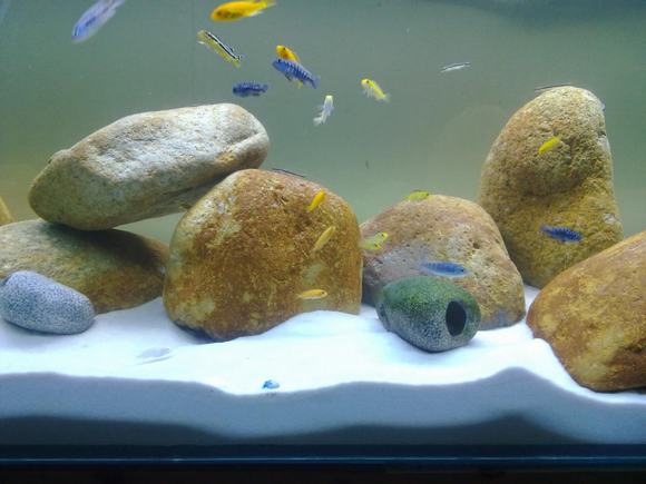 Sỏi nền cho bể cá cảnh Sỏi nền cho bể cá cảnh