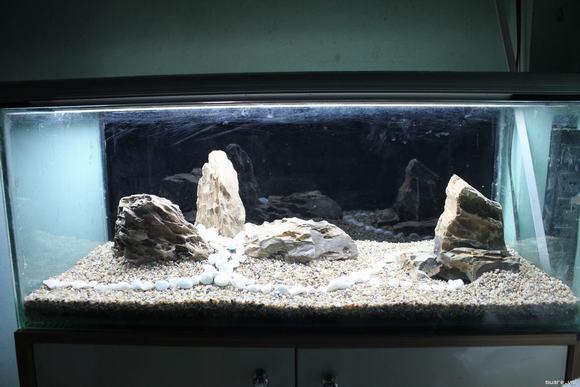 Nền bể cá cảnh