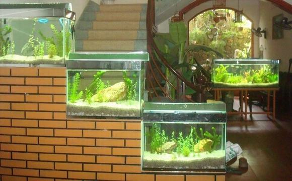 Tùy vào kích thước, số lượng... bể cá mà giá cả khác nhau