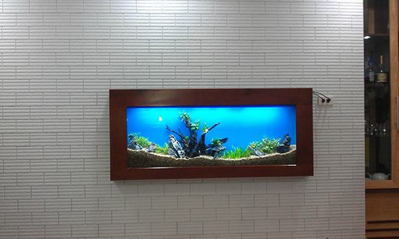 Bể cá cảnh đẹp treo tường