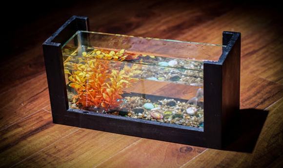 Bể cá cảnh mini