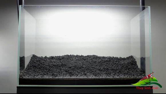 Làm nền hồ cá thủy sinh