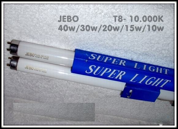 Đèn Huỳnh Quang T8 Đèn Huỳnh Quang T8