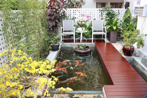 Hồ cá cảnh ngoài trời Hồ cá cảnh ngoài trời