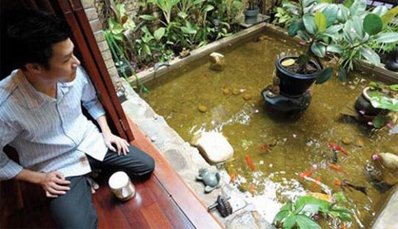 Thi công hồ cá Koi mini cho không gian nhỏ hẹp Thi công hồ cá Koi mini cho không gian nhỏ hẹp