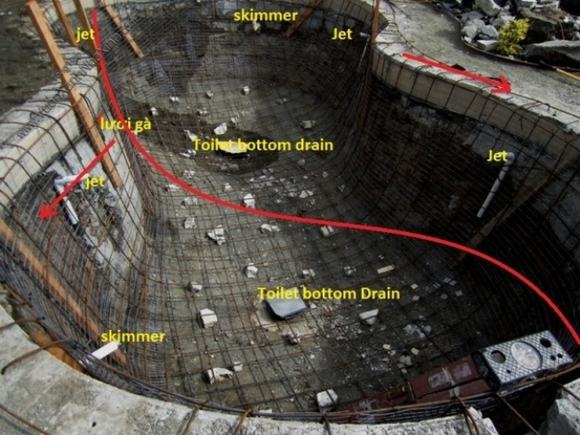 Thiết kế hồ cá Koi