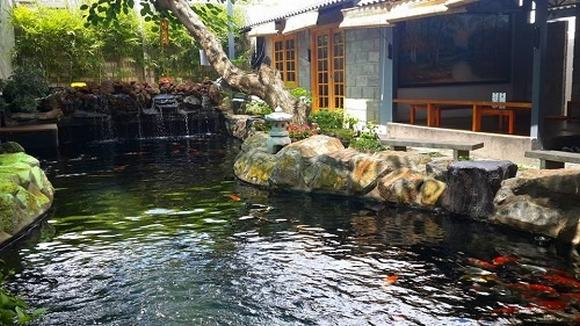 Phong thủy hồ cá koi
