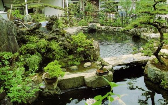 Hồ Cá Koi nét tân trang cho sân vườn biệt thự