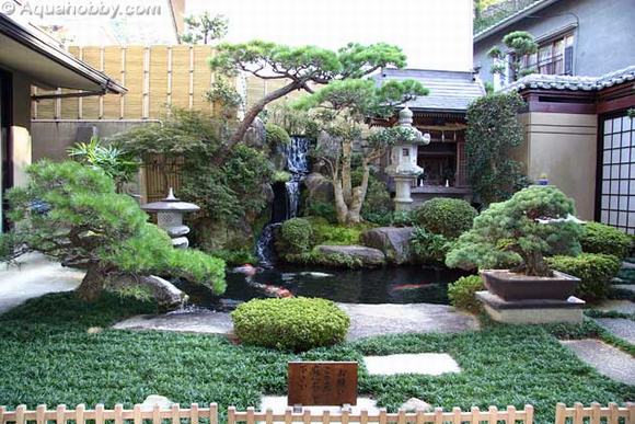 Hồ Cá Koi nét tân trang cho sân vườn biệt thự