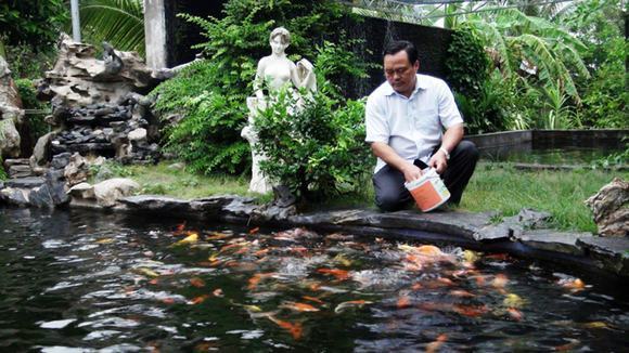 Thư giãn bên hồ cá koi Thư giãn bên hồ cá koi