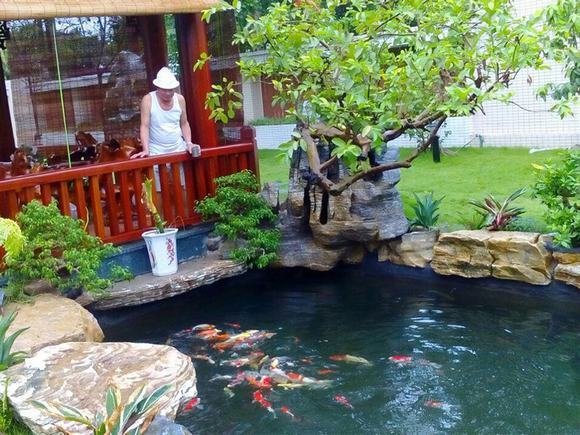 Hồ cá koi thể hiện phong cách gia chủ Hồ cá koi thể hiện phong cách gia chủ