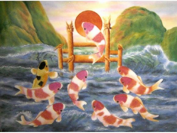 Cá koi, loài cá từ truyền thuyết Cá koi, loài cá từ truyền thuyết