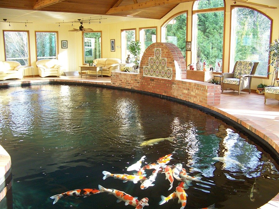 ho-ca-koi-trong-nha