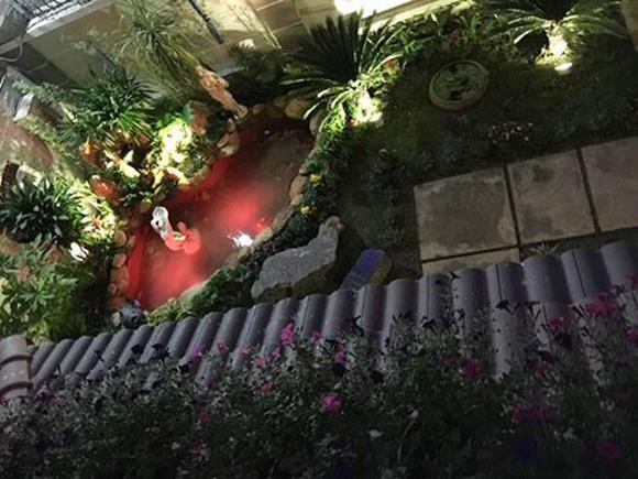 “Du hí” phong cảnh sơn thủy hữu tình cùng hồ cá Koi của ca sĩ Cao Thái Sơn