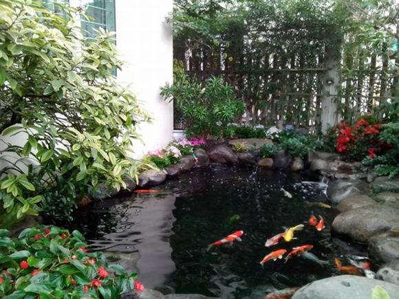 Luôn đảm bảo lượng nước trong hồ 