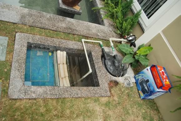 Hệ thống lọc của hồ cá Koi Hệ thống lọc của hồ cá Koi