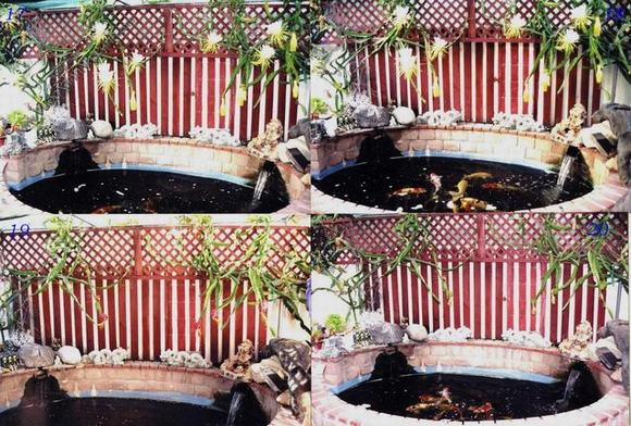 Thi công hồ cá Koi theo kích thước, vị trí đã định Thi công hồ cá Koi theo kích thước, vị trí đã định