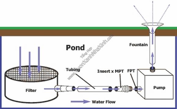 Quy trình hoạt động của bộ lọc hồ cá Koi Quy trình hoạt động của bộ lọc hồ cá Koi