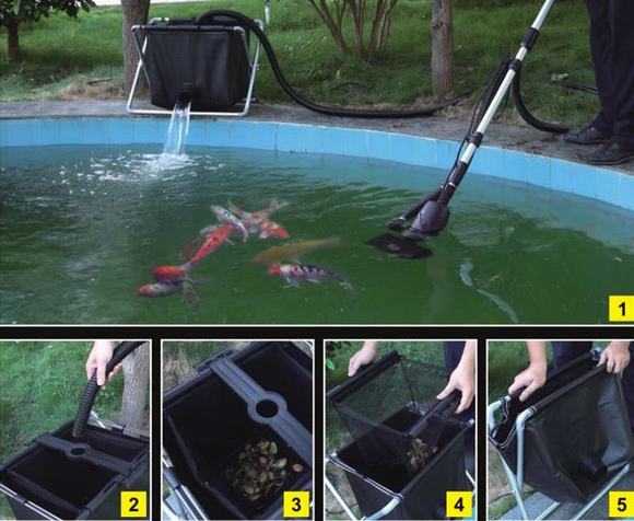 Vệ sinh hồ cá Koi là công việc cần làm định kỳ