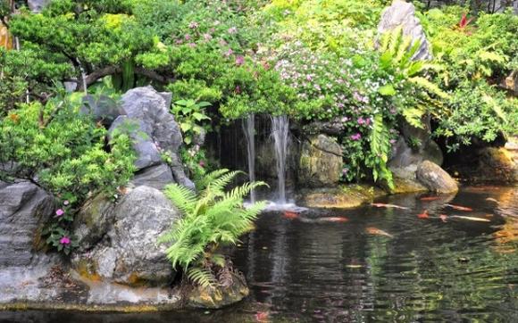 Người thi công có Tâm cho bạn hồ cá Koi tốt Người thi công có Tâm cho bạn hồ cá Koi tốt