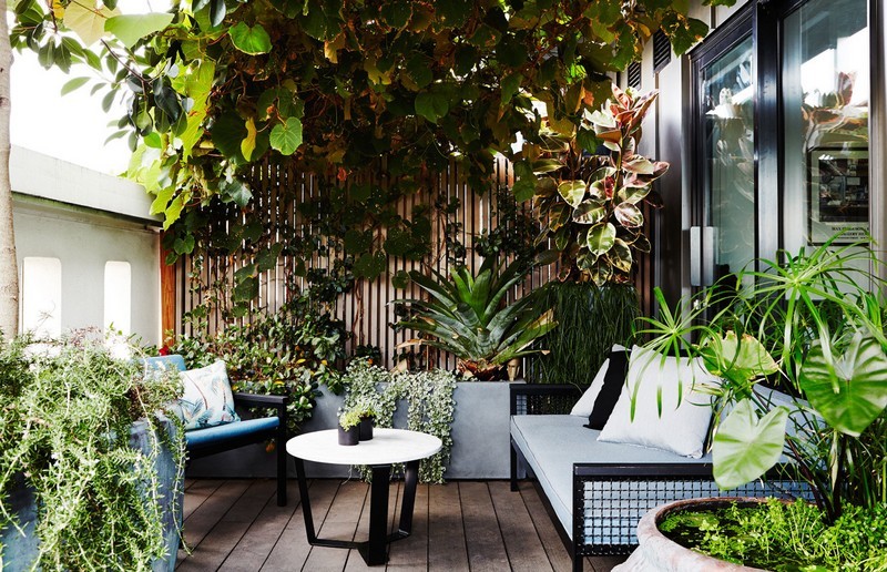 Thiết kế sân vườn đẹp đa dạng