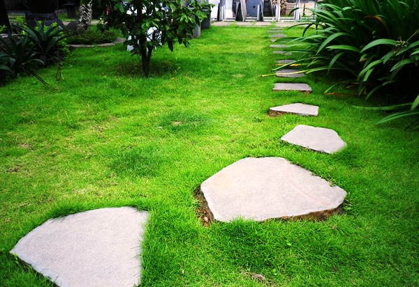 cay-xanh-trong-thiet-ke-san-vuon